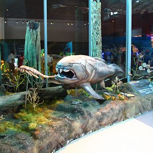 SEA Aquarium - Sea Monsters Past and Present (seasonal display)