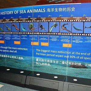 SEA Aquarium - Sea Monsters Past and Present (seasonal display)