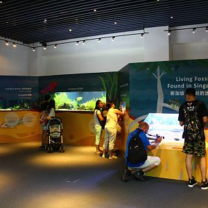 SEA Aquarium - Sea Monsters Past and Present (seasonal display)