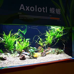 SEA Aquarium - Sea Monsters Past and Present (seasonal display)