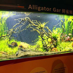 SEA Aquarium - Sea Monsters Past and Present (seasonal display)