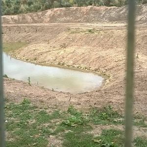 Giant Otter Construction - 10th Aug 2015