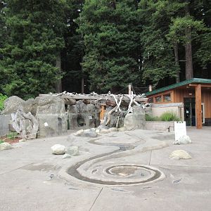 Watershed Heroes - Mini Stream