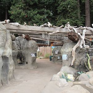 Watershed Heroes - North American River Otter Exhibit