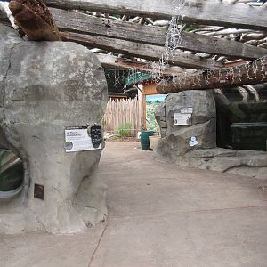 Watershed Heroes - North American River Otter Exhibit + Fish Tank