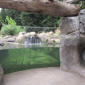 Watershed Heroes - North American River Otter Exhibit