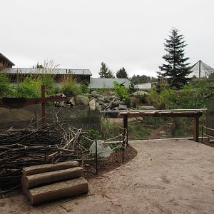 Watershed Heroes - North American River Otter Exhibit + Bald Eagle Nest