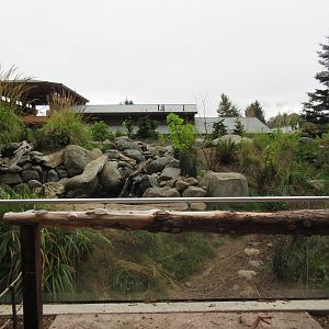 Watershed Heroes - North American River Otter Exhibit