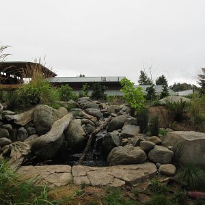 Watershed Heroes - North American River Otter Exhibit