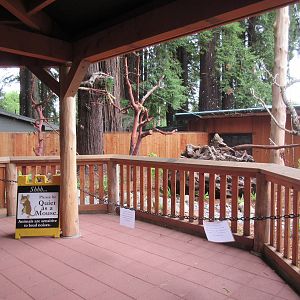 Raptor Aviary - Bald Eagle Exhibit
