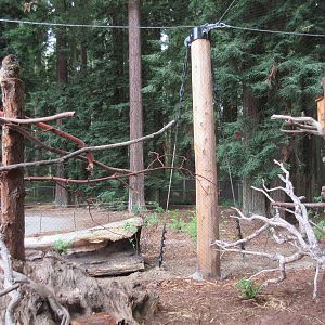 Raptor Aviary - Northern Spotted Owl/North American Porcupine Exhibit