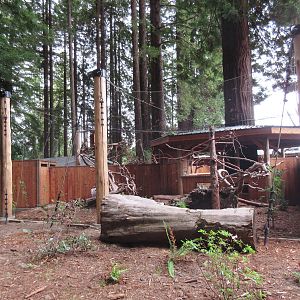 Raptor Aviary - Northern Spotted Owl/North American Porcupine Exhibit (rear