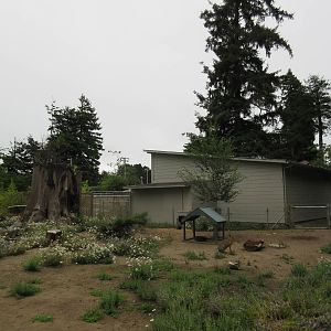 Patagonian Cavy/Crested Screamer Exhibit