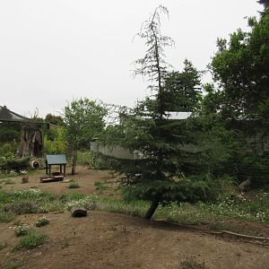 Patagonian Cavy/Crested Screamer Exhibit