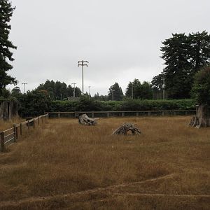 Chacoan Peccary/Greater Rhea Exhibit