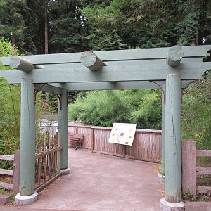 Red Panda/Indian Muntjac Exhibit