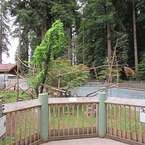 Red Panda/Indian Muntjac Exhibit