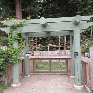 Red Panda/Indian Muntjac Exhibit