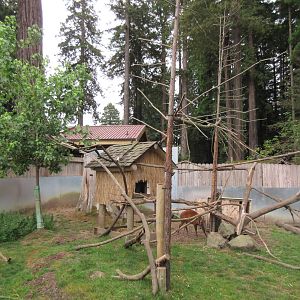 Red Panda/Indian Muntjac Exhibit