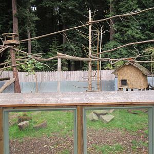 Red Panda/Indian Muntjac Exhibit