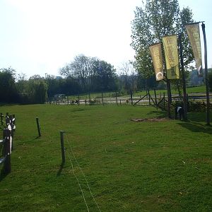 Dutch belted cow pasture (May 2nd, 2015)