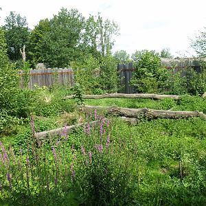 GaiaZoo History: Previous lynx enclosure (No longer there)