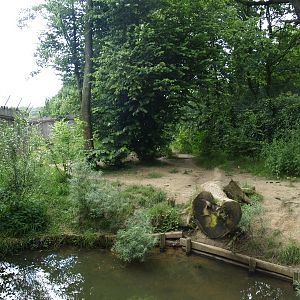 GaiaZoo History: Previous wolf enclosure (No longer there)