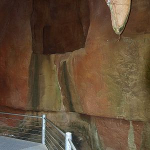 Cave (May 2nd, 2015)