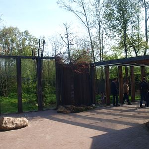 Lynx viewing area (May 2nd, 2015)