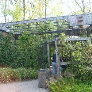 Native songbirds aviary (May 2nd, 2015)