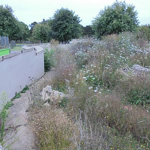 Former Coati Enclosure 2015