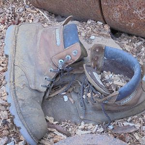 Keeper`s boots in former Chipmunk enclosure 2015.