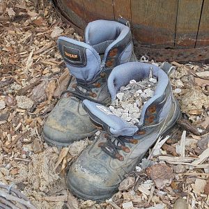 Keeper`s boots in former Chipmunk enclosure 2015.