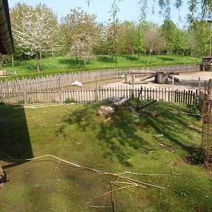 Paddock for rabbits and guinea pig (May 2nd, 2015)