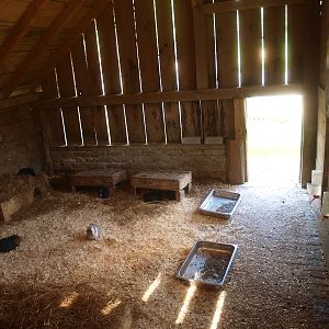 Rabbit and guinea pig indoor housing (May 2nd, 2015)