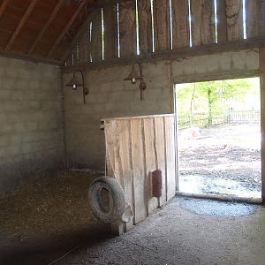 Pigsty (May 2nd, 2015)