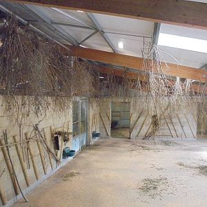 House full of sticks!!  Bongo indoor housing 2015.