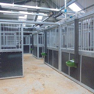 Wild Explorer`s Grevy`s Zebra internal stalls 2015.