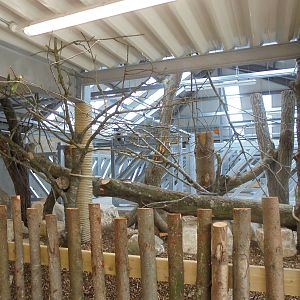 Wild Explorer`s internal Rhino facility 2015.