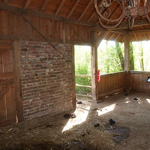 Dutch belted cow stable (May 2nd, 2015)