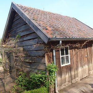 Chicken barn (May 2nd, 2015)