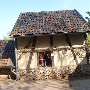 Mouse barn (May 2nd, 2015)