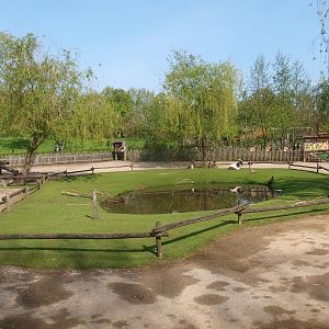 Petting zoo paddock (May 2nd, 2015)