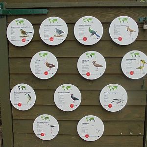 Signage in wlak-through aviary 2015.