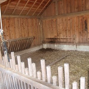 Donkey stable (May 2nd, 2015)
