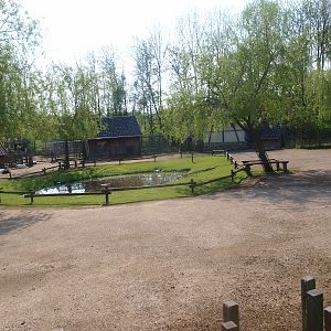 Petting zoo paddock (May 2nd, 2015)