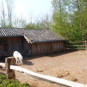 Shetland pony barn and hardstand (May 2nd, 2015)