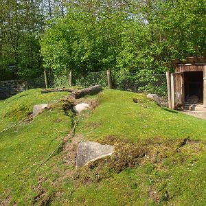 Flemish giant rabbit pen (May 2nd, 2015)