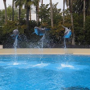 Maverick, Beetle and Osbourne Jump