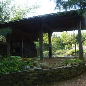 Beaver shelter (May 2nd, 2015)